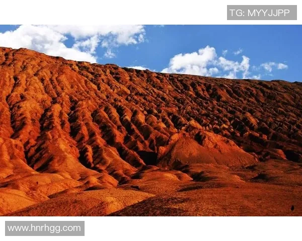 武汉排球队的阵地战革新探索与实践之路全景分析